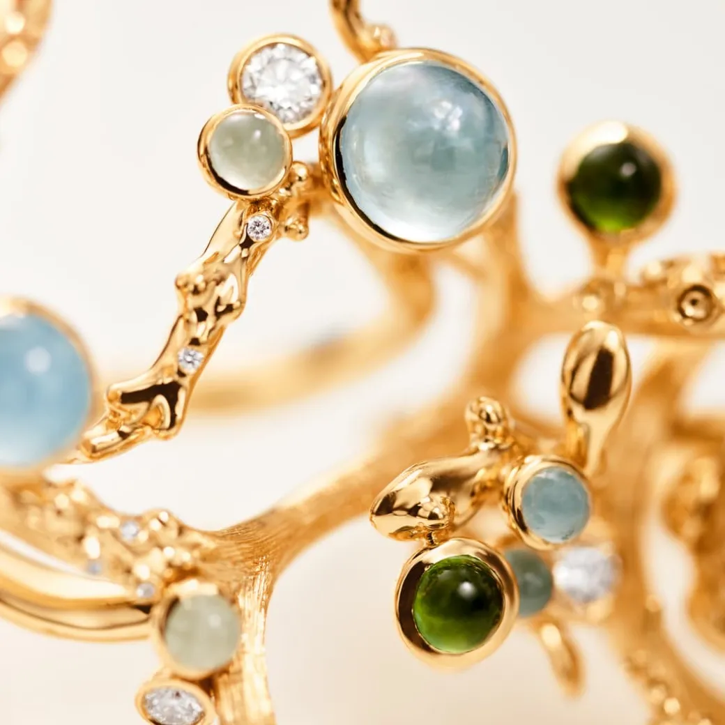 Blæksprutte ring