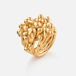 BoHo Cluster Ring