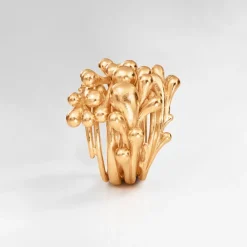 BoHo Cluster Ring