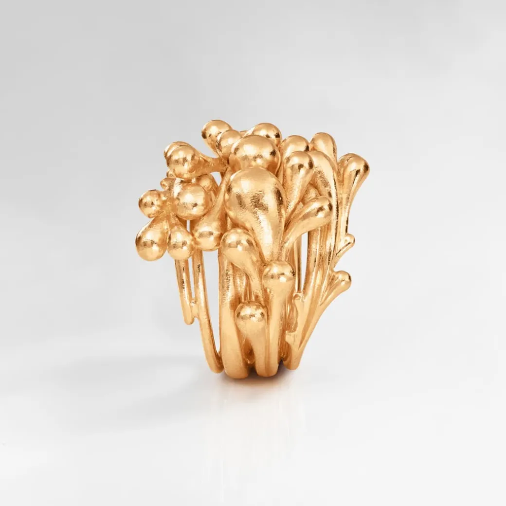 BoHo Cluster Ring