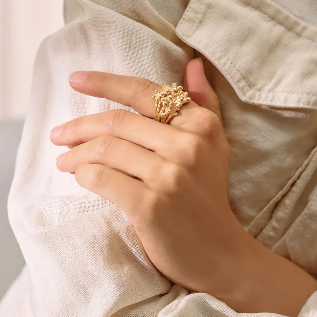 BoHo Cluster Ring