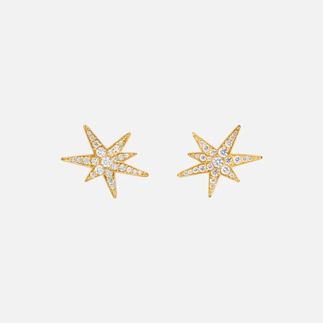 Funky Stars ørerstikker small