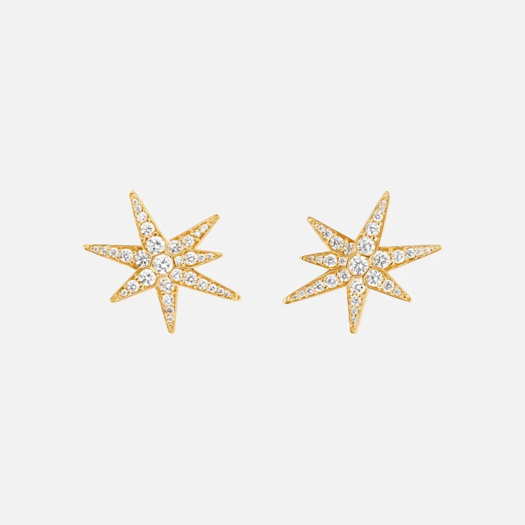 Funky Stars ørestikker medium