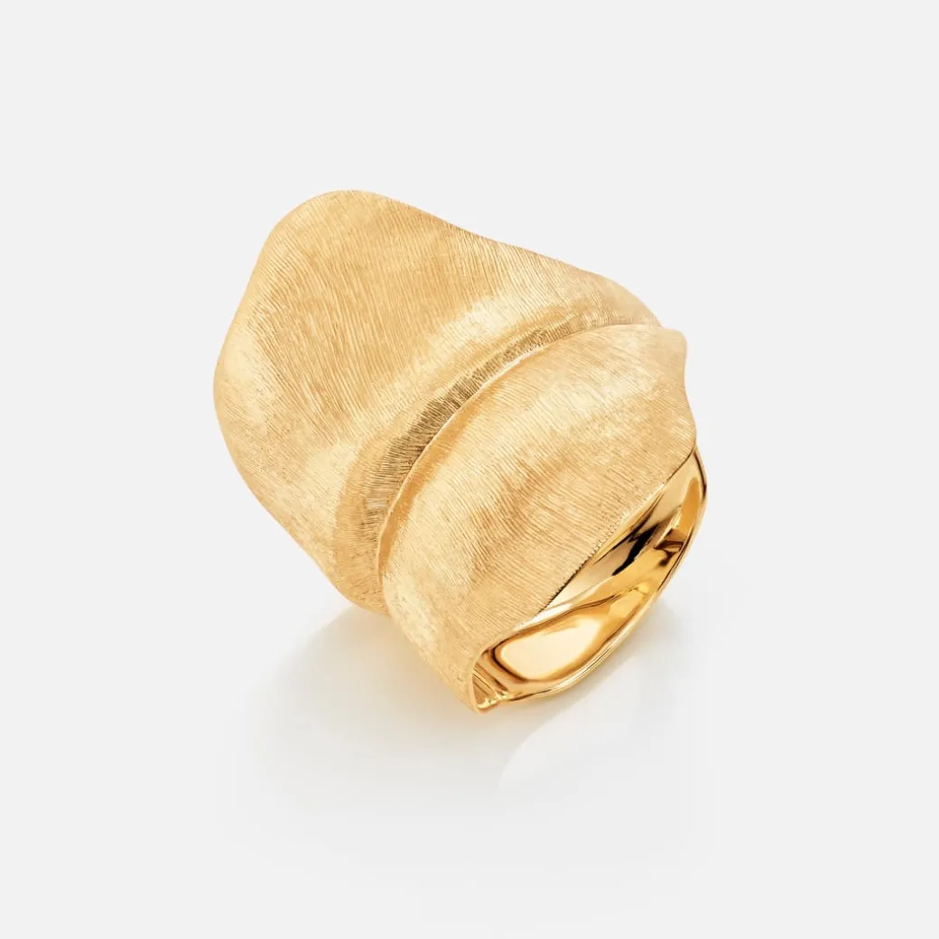 Leaves ring stor
