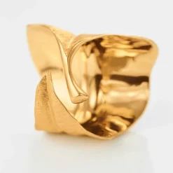 Leaves ring stor