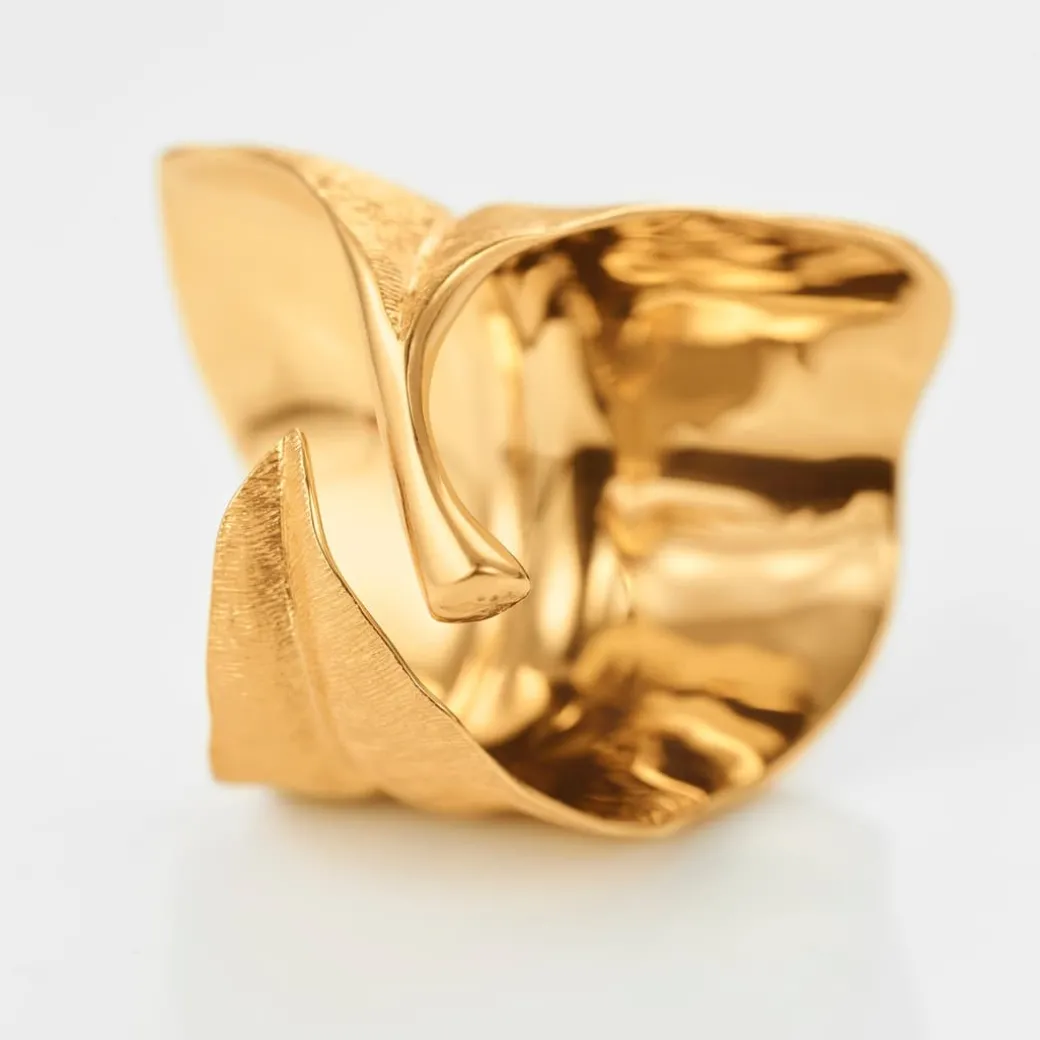 Leaves ring stor
