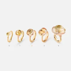 Lotus ring 2