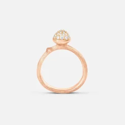 Lotus ring lille