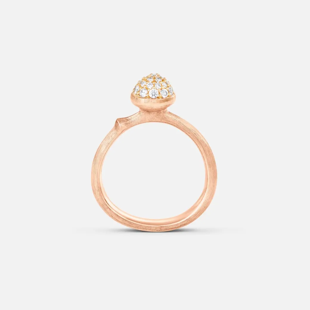 Lotus ring lille