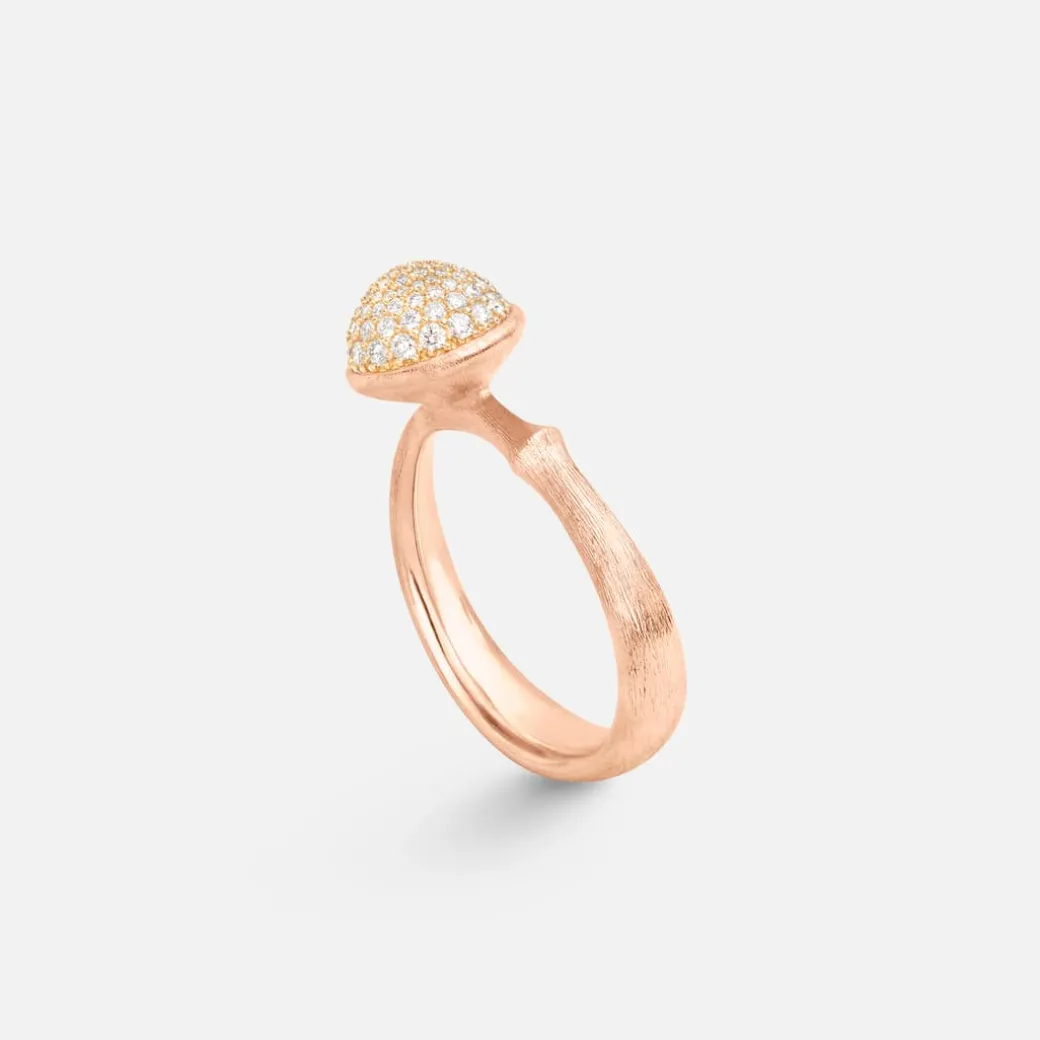 Lotus ring medium