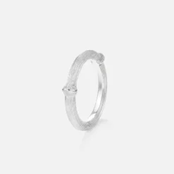 Nature ring III