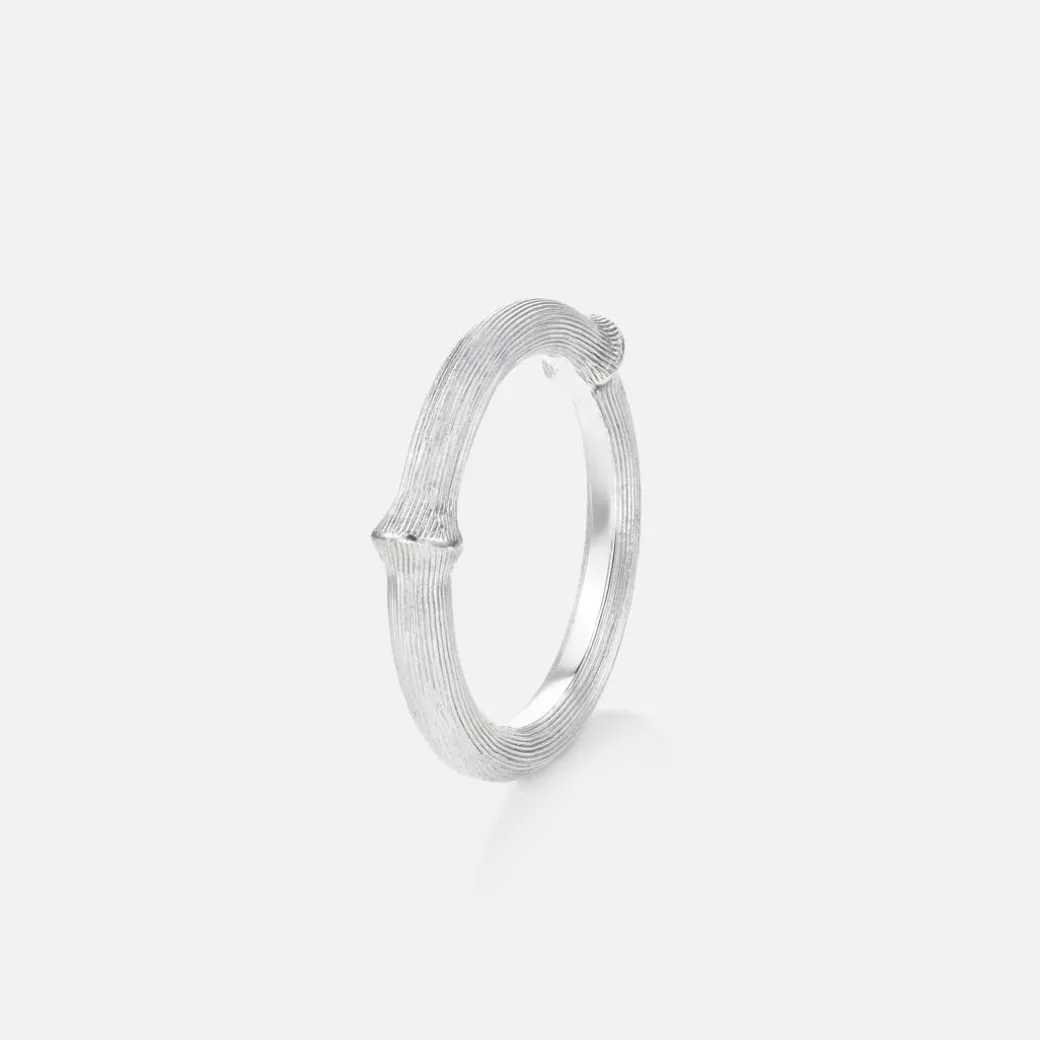 Nature ring III