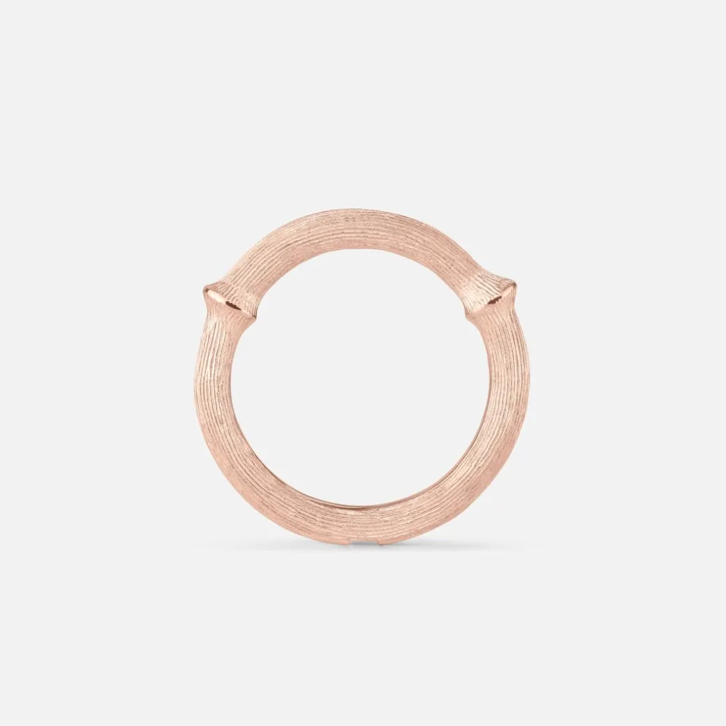 Nature ring III