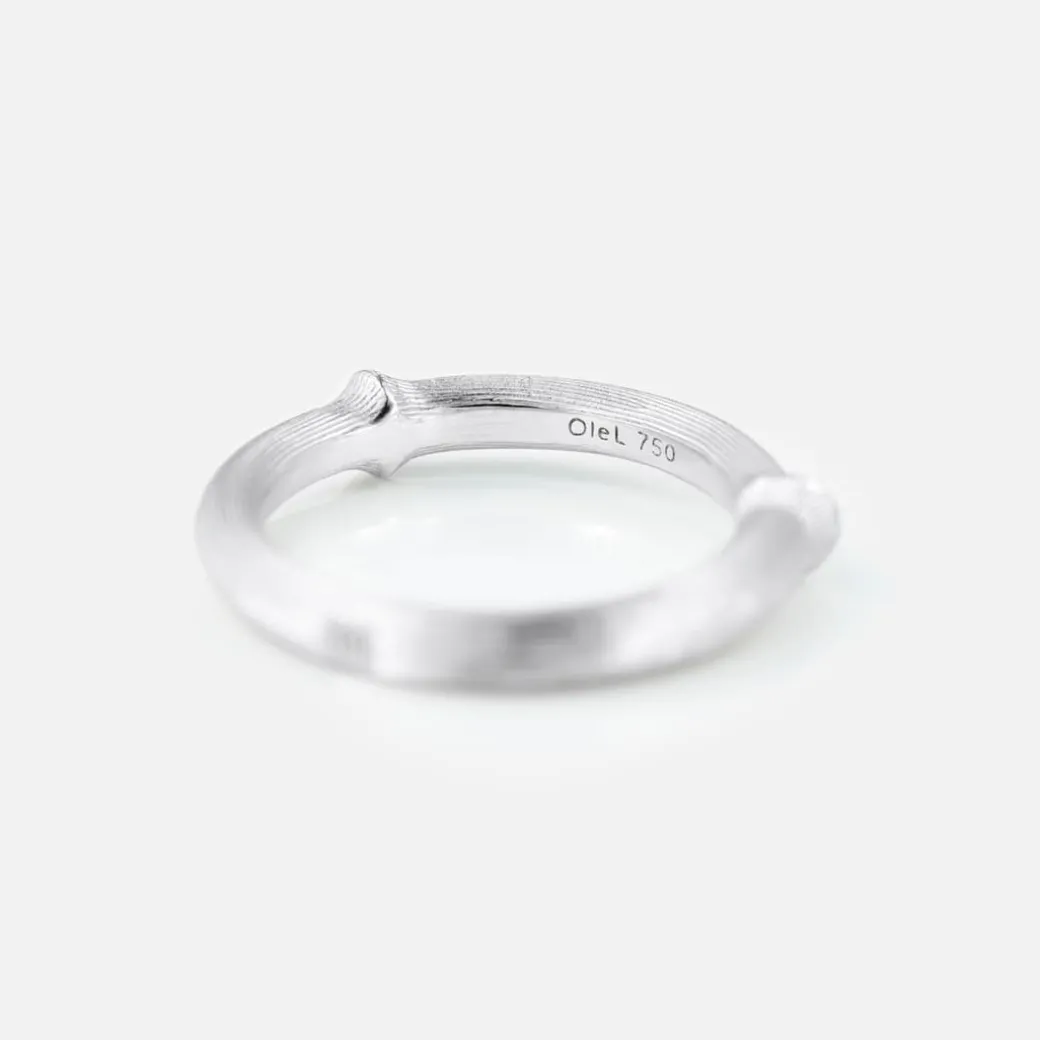 Nature ring III