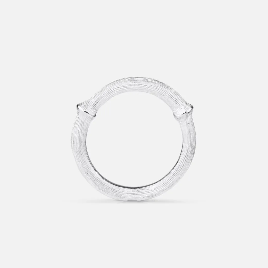 Nature ring III