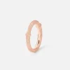 Nature ring IV