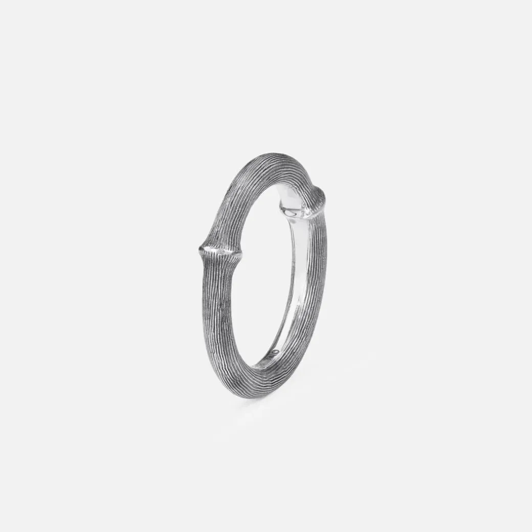 Nature ring IV