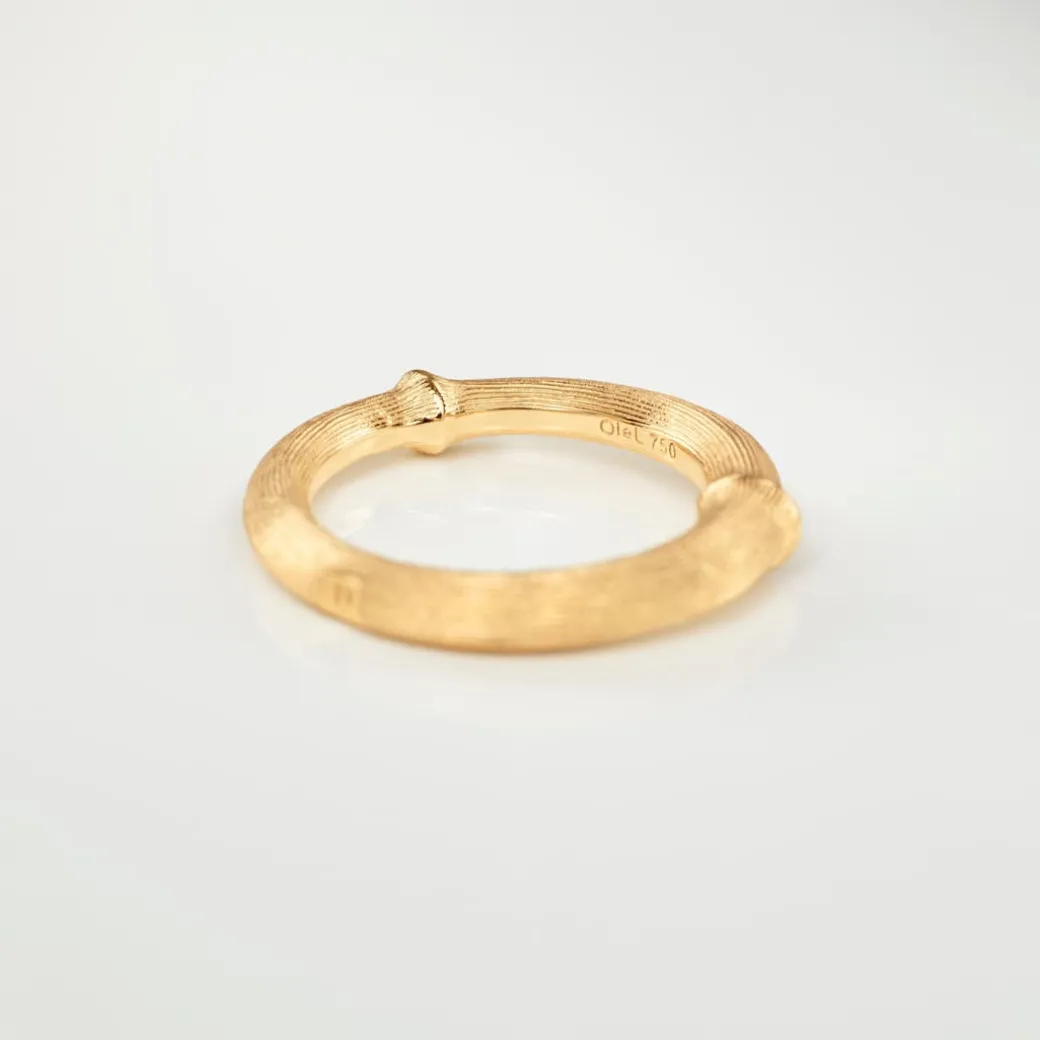 Nature ring IV