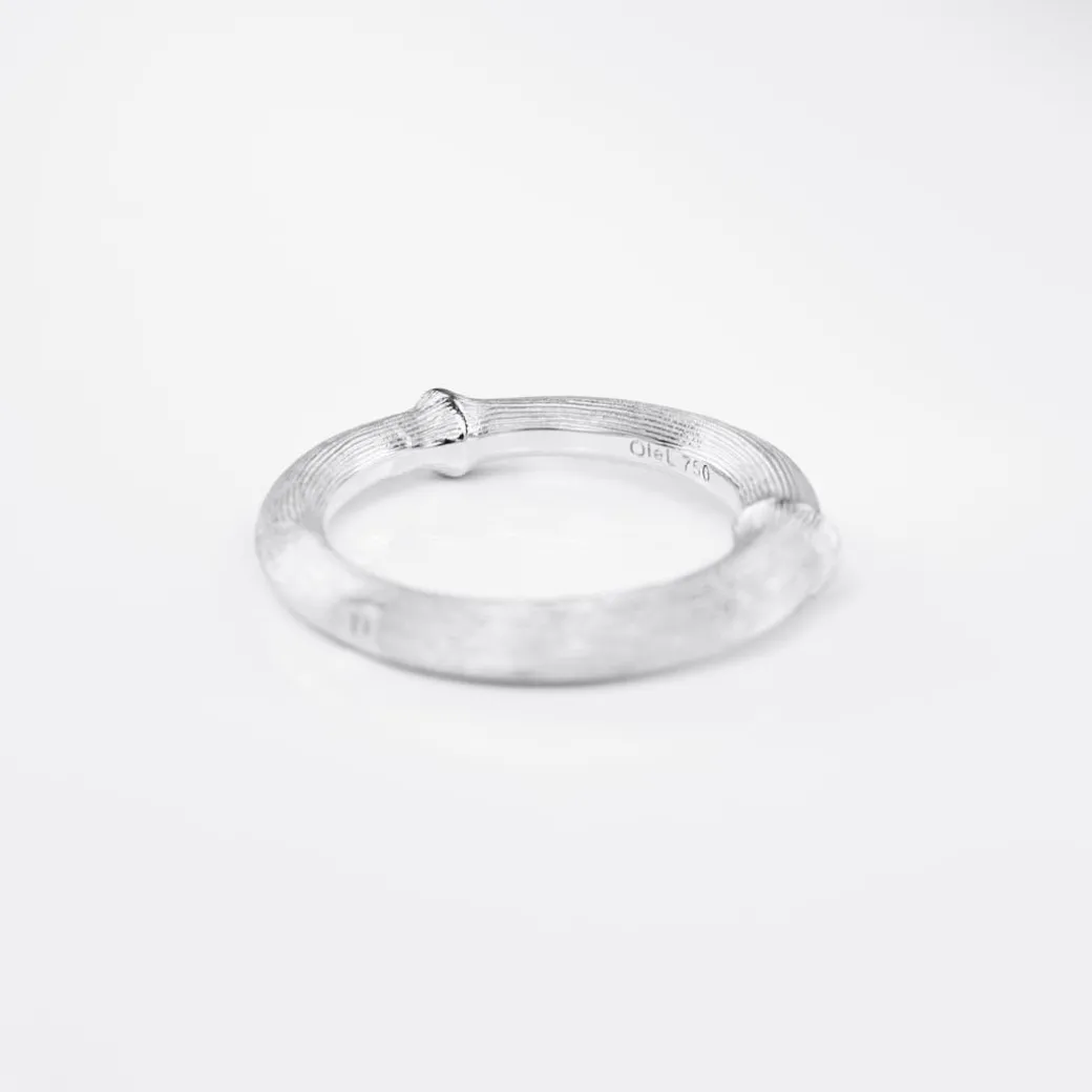 Nature ring IV
