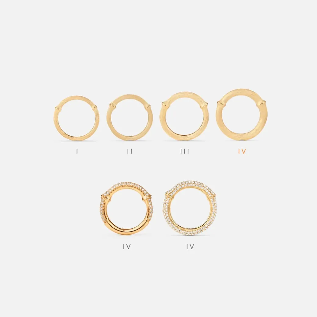 Nature ring IV