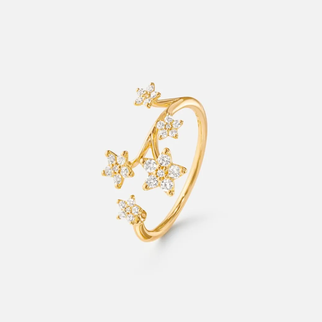 Shooting Stars ring stor