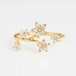 Shooting Stars ring stor