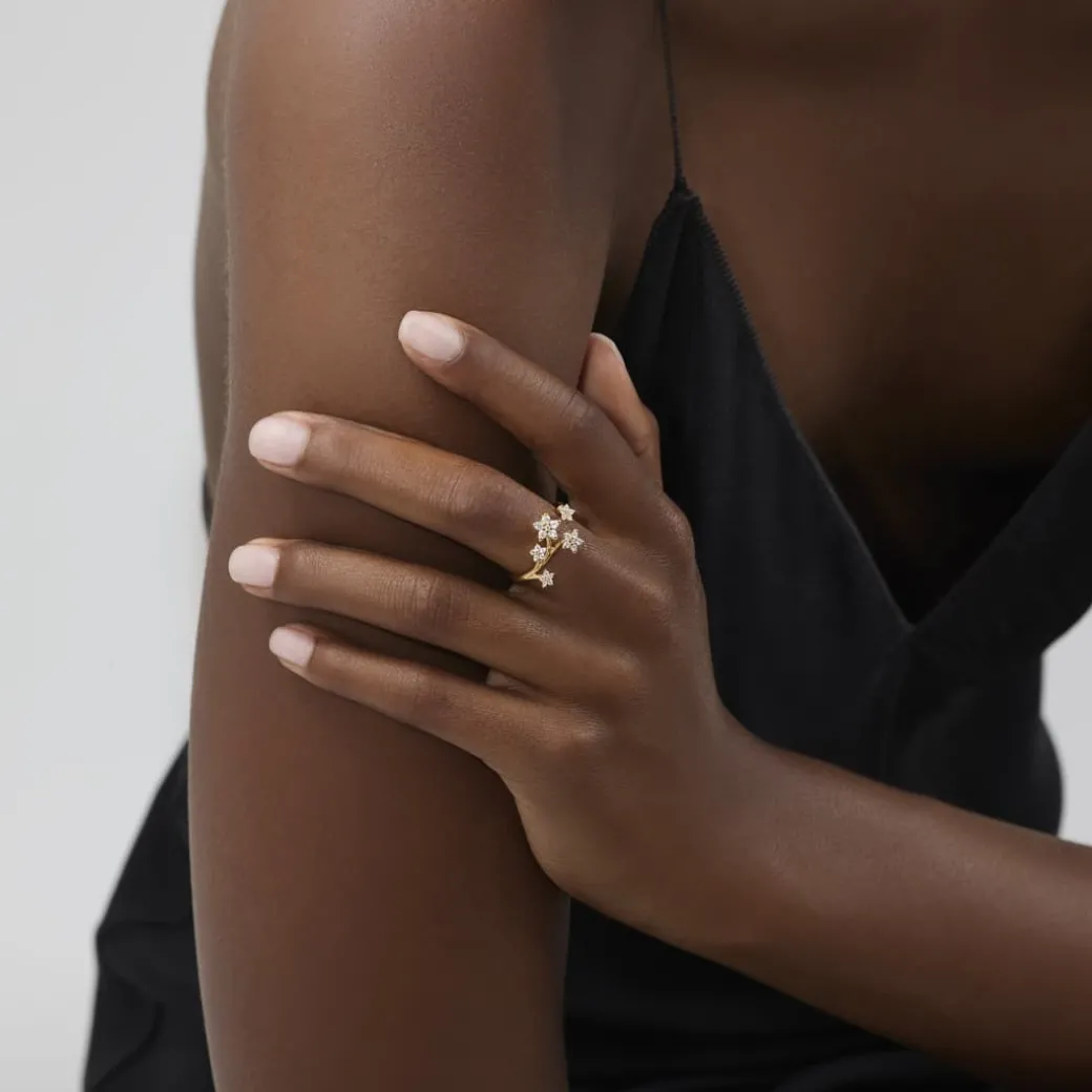 Shooting Stars ring stor