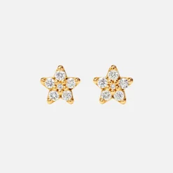 Shooting Stars stud earrings small