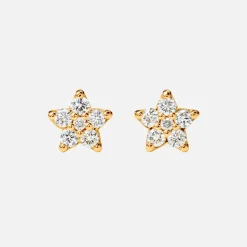Shooting Stars stud earrings large