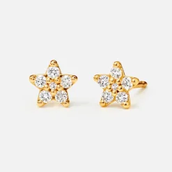 Shooting Stars stud earrings small