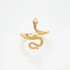 Snakes ring mini