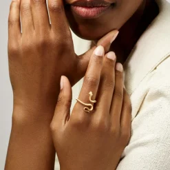 Snakes ring mini